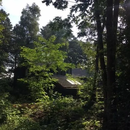 Bed & Breakfast Boshuis Lariks *