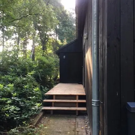Boshuis Lariks Bed & Breakfast Riethoven
